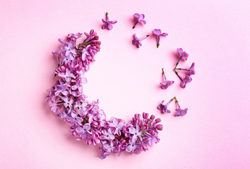 Frame made of beautiful lilac flowers on color background