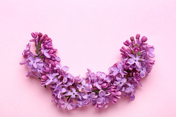 Beautiful lilac flowers on color background