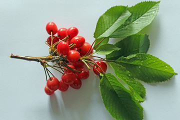 Cerises