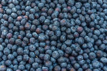 Closeup of a Pile of Fresh Blueberries in an Open Air Market