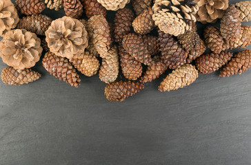 Dry Brown Pine Cones Background, Texture or Pattern