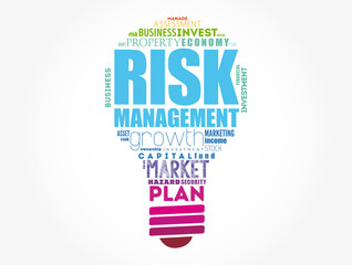 Risk Management light bulb word cloud collage, business concept background