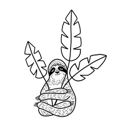 Cute hand drawn sloth sleeping and hugging troplical leaves. Outline doodle style. Vector illustration - 268967062