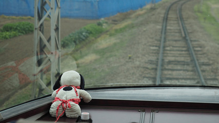 The soft stuffed dog doll is traveling by train.