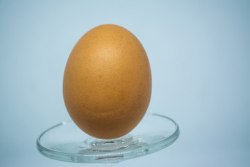 Egg for cooking many types of food for all human being to good healthy