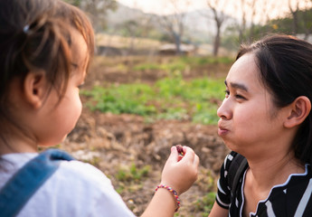 Asian little girl feeding fresh mulberry ball with finger to mother in the garden with sunset...