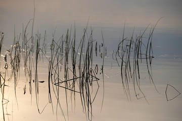 Landscape with the image of lake Seliger in Russia