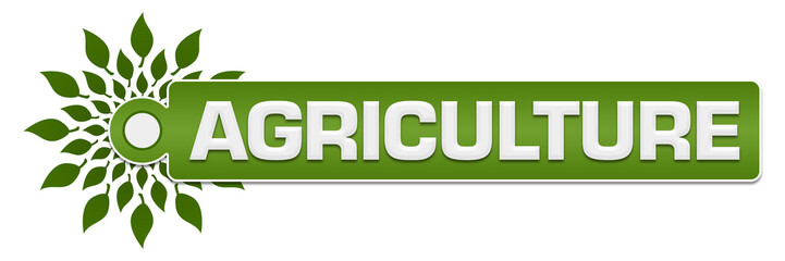 Agriculture Green Leaves Circular Label 