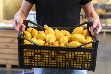 Family choosing lemons and fruits in supermarket