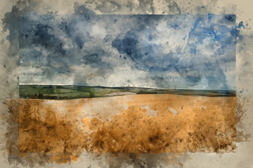 Watercolour painting of Stunning wheat field landscape under Summer stormy sunset sky