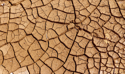 texture of dried clay surface with deep cracks