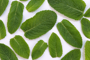 Leaves of fragrant peppermint