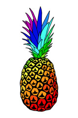 Illustration of pineapple painted in colors of rainbow, isolated on white. T-shirt print design