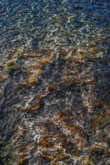 Rocky river with fast current. Streams of water seething sweep over the rocky bottom