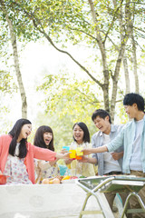 乾杯をする大学生