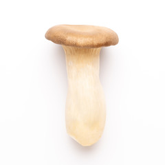 King oyster mushroom on white background.