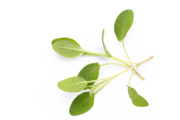 Herbal spice on a white background. Top view.