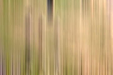 Fototapeta premium Bright colored blured brushstrokes as multicolored flashes for an abstract background