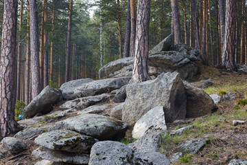 Large stone boulders in the forest.