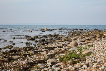 Steinige Küste, Granitz, Biosphärenreservat Südost-Rügen, Insel Rügen, Mecklenburg-Vorpommern,...