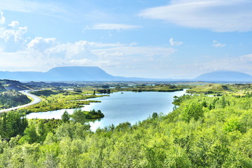 View of Hofdi, a private forest at the shore of Lake Myvatn