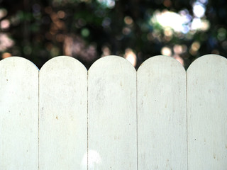 Fototapeta premium Leak white wood vintage tree nature background.