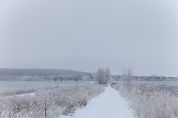 Russian provincial natural landscape in gloomy weather