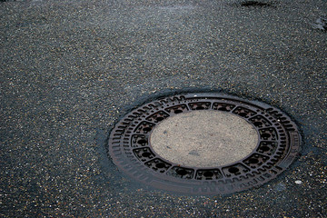 Regenasses Pflaster. Gl&auml;nzt im Tageslicht. An solchen Tagen jagt man keinen Hund vor die T&uuml;re