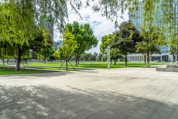 Row of trees beside pavement in downtown district.