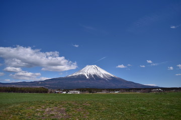 富士山と草原～Mt.Fuji and Grassland.