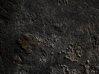highly Detailed grunge background with space for your design