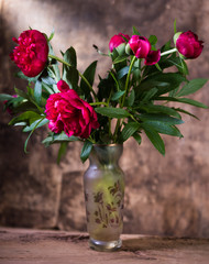 Artistic still life with peonies in vase