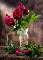 Artistic still life with peonies in vase