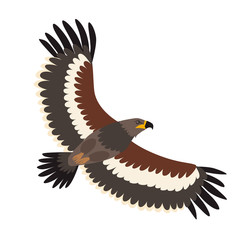 Steppe eagle icon vector illustration. Cartoon style bird, isolated on a white background