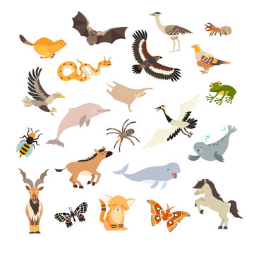 Animals cartoon vector set. Cartoon illustration, isolated on a white background