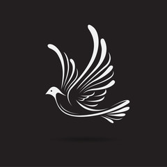 Vector of birds(Dove) design on a black background,. Wild Animals. Bird logo or icon. Easy editable layered vector illustration.
