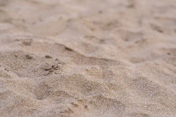 Fototapeta na wymiar Sand on a beach as texture
