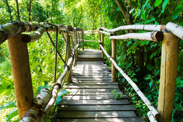 Peaceful nature wooden and rope bridge in the forest.