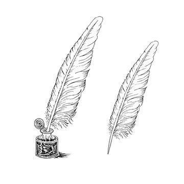 Goose quill in an old fashioned decorative inkwell isolated on white background. Vector monochrome freehand drawing schematic illustration of a painted picture in style of book engravings