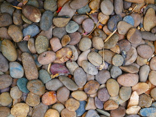 outdoor grunge stone background, pebble stone background