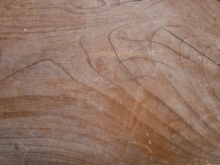 wood texture background
