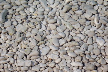 Croatia, Dugi Otok, pebbles