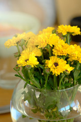 Colorful yellow and orange chrysanthemum flower in a round glass vase on table