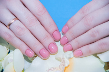 Obraz na płótnie Canvas Pink solid color manicure on female hands. Gentle manicure. Gel polish. Well-groomed nails.