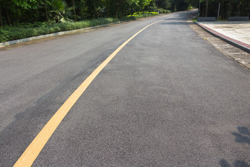 Fototapeta na wymiar Curved asphalt road in the park