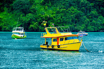Scuba diving in Koh Phi Phi Krabi Thailand