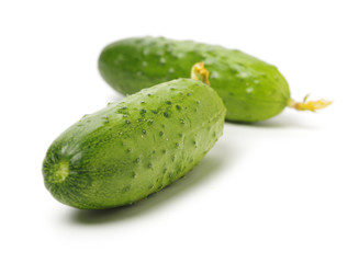 Green cucumber on the white background