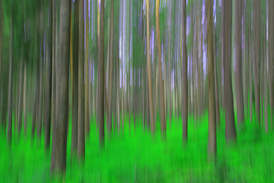 Strichcode Schwarzwald
