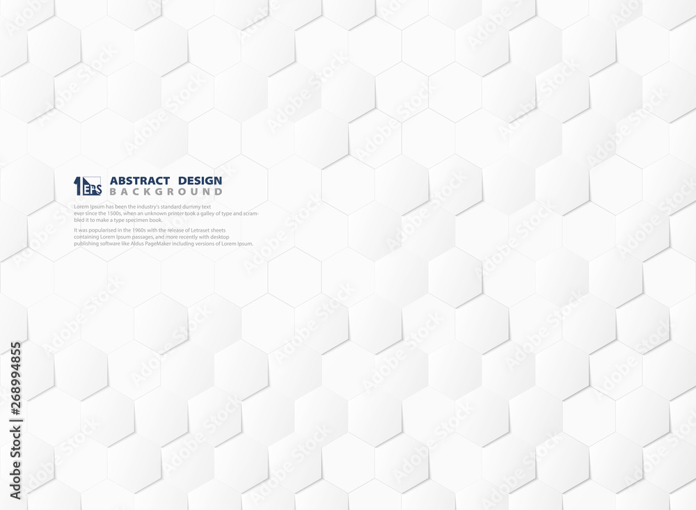 Poster abstract hexagon pattern technology 3d white and gray background. illustration vector eps10