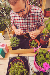 Farmer planting young seedlings flowers in the garden. Gardening concept.